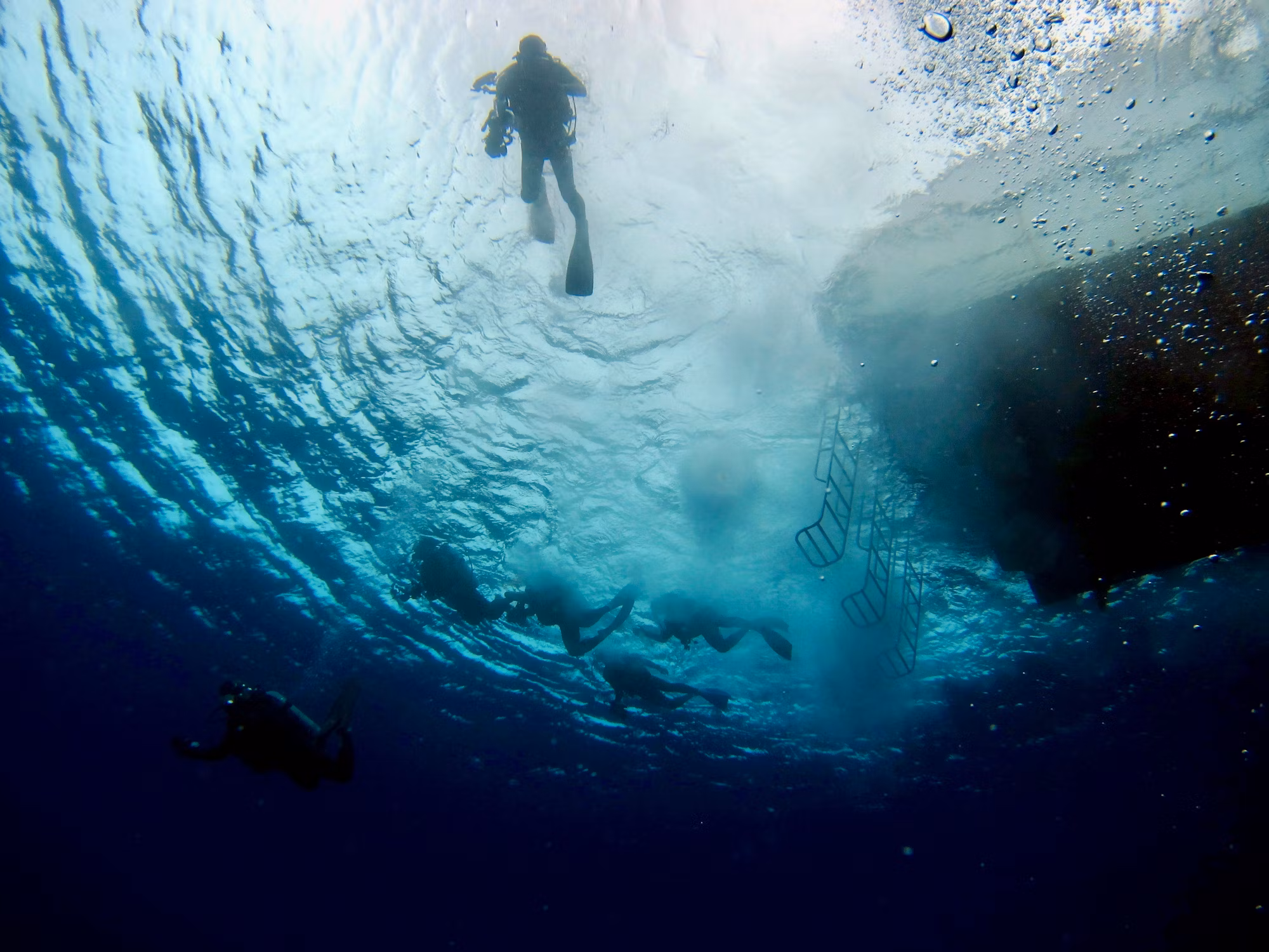 Adventures Beneath the Waves: A Guide to Diving Disciplines